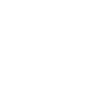 New Dacia